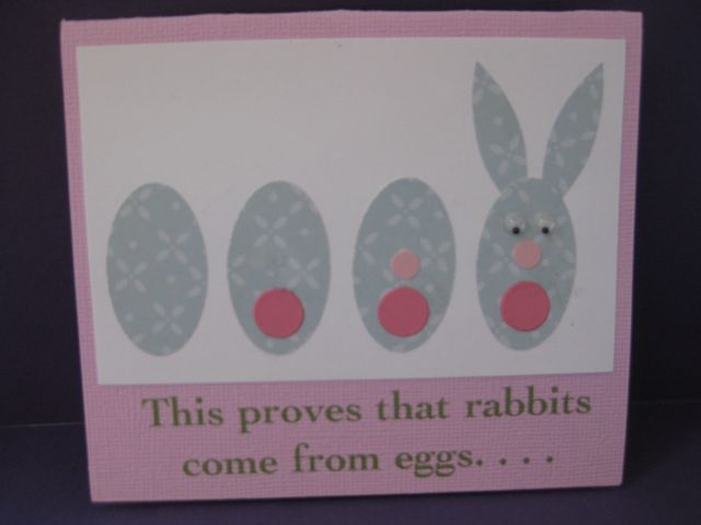Rabbits come from eggs