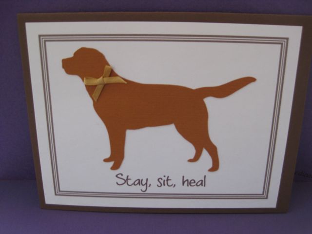 sit/stay/heal