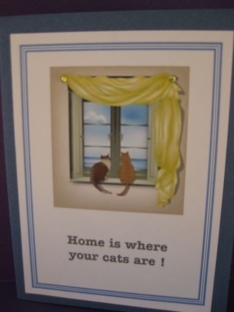 home/cats