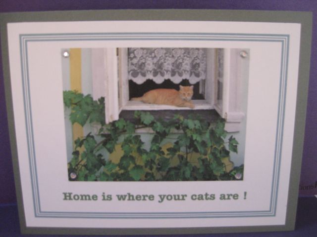 home/cats2