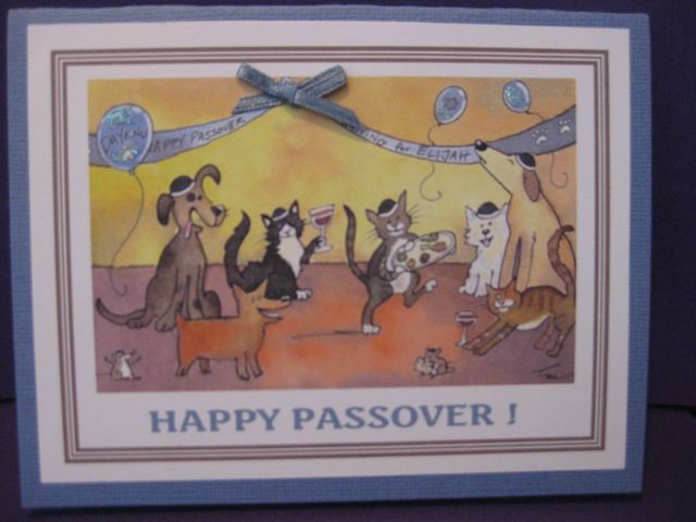 Passover cats/dogs