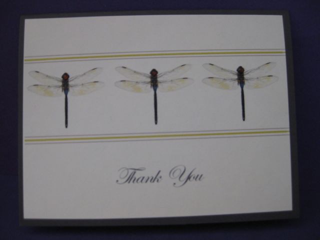 dragonfly thank you