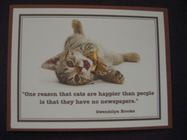 cat note card 1