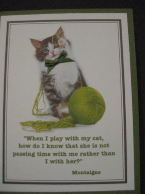 cat note card 4