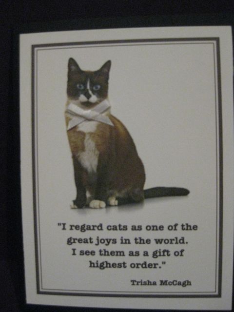 cat note card 11