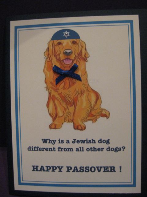 Passover dog