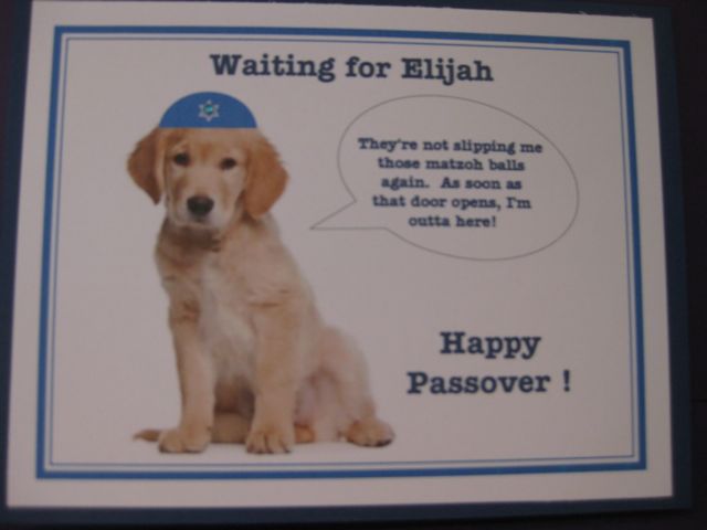 Elijah/Golden retriever/Passover