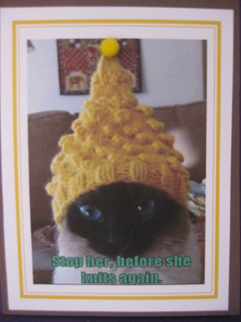 Knitting/Cat w/hat