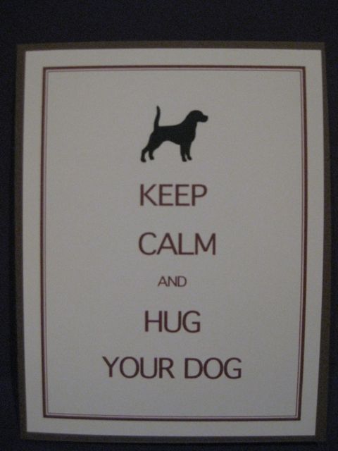 Hug your dog