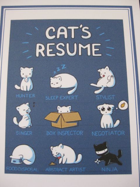 Cat's Resume