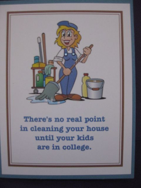 Cleaning your house