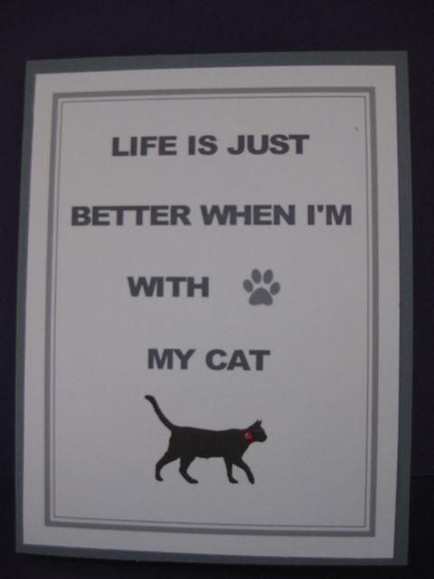 Life is better with cat