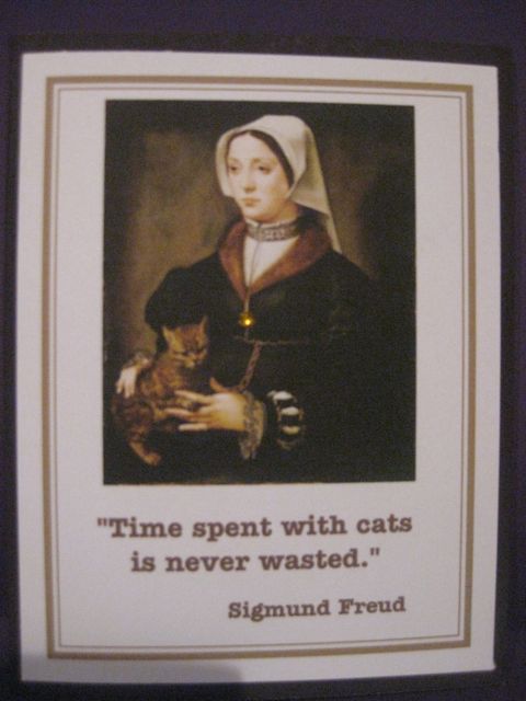 Time spent with cats
