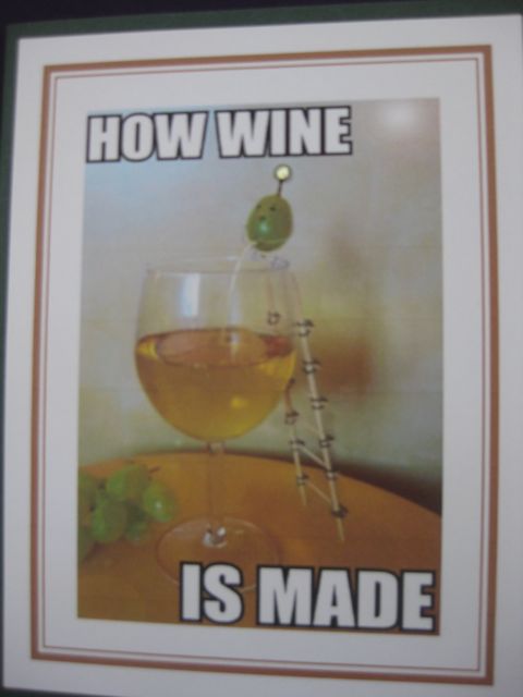 How wine is made