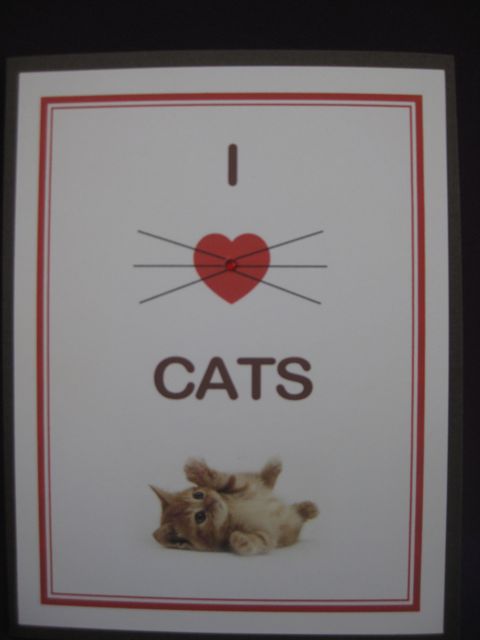 I (heart) cats