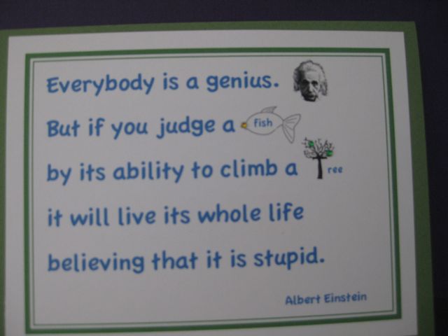 Everybody is a genius/Einstein