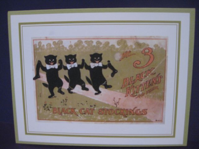 Black cat stockings