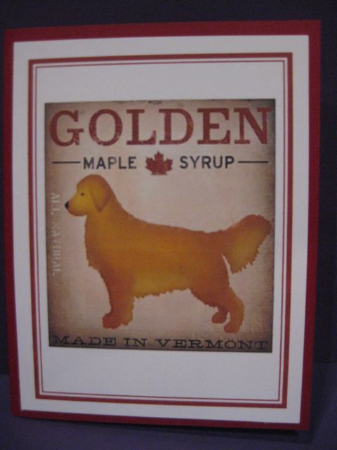 Golden Maple Syrup