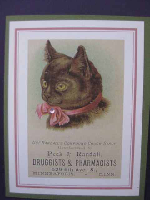 Druggists & Pharmacists