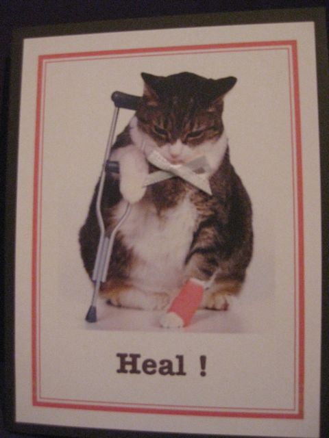 Cat/heal