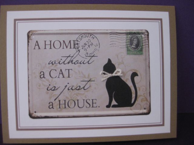 House without cat