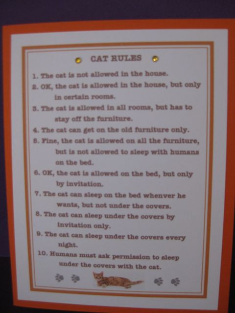 Cat Rules