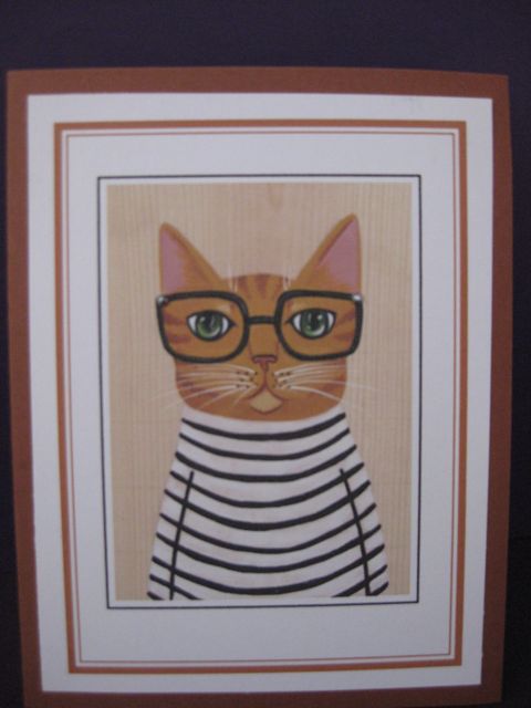 Cat/glasses