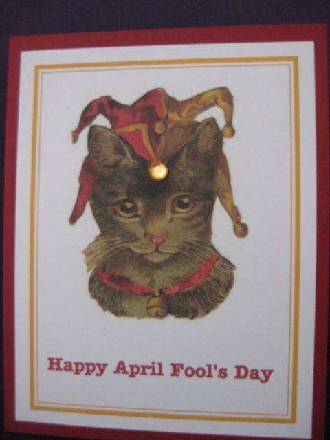 Cat/April Fool's