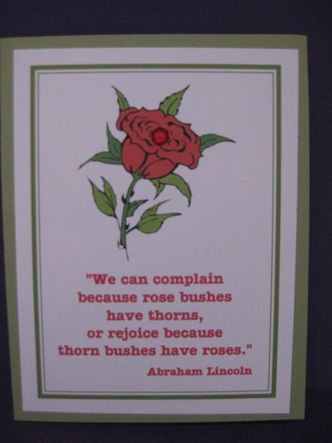 Rose bushes/thorns