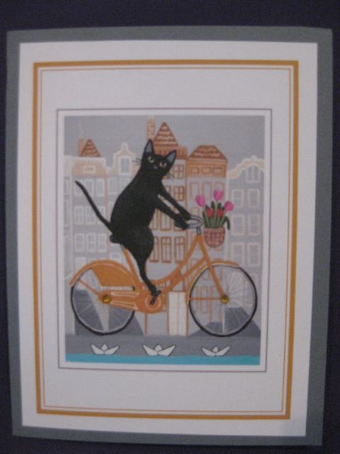 Cat/bicycle