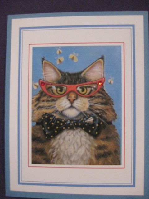 Cat/red glasses