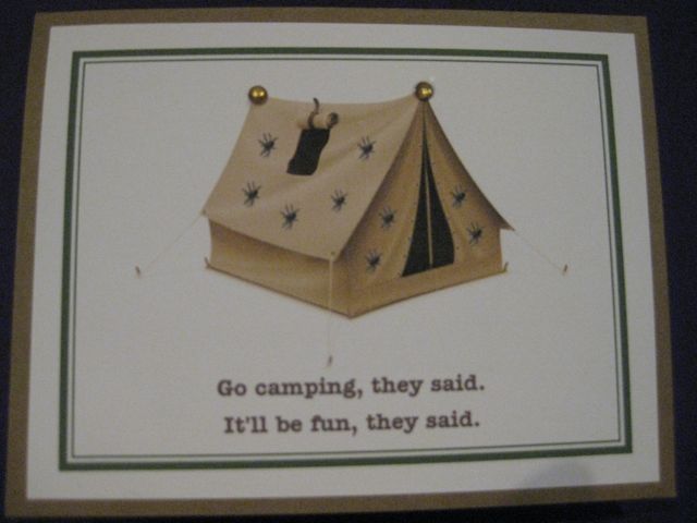 Camping/spiders