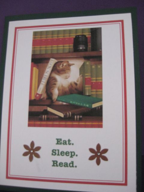 Cat/sleeping/books
