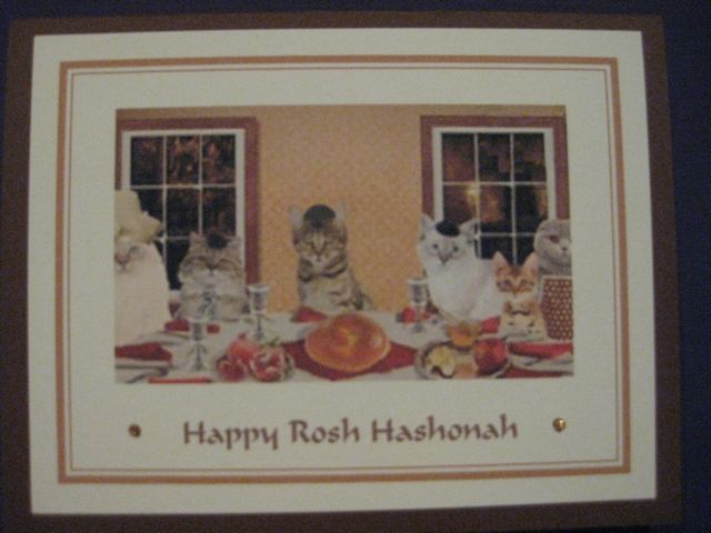 Cats/Rosh Hashonah