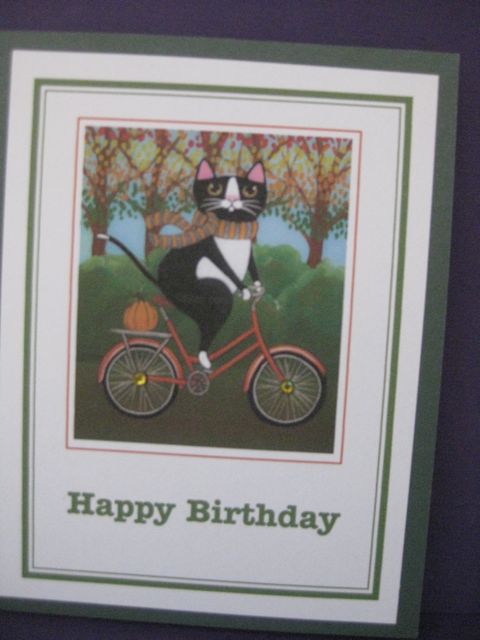 Cat/bicycle