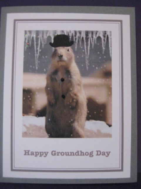 Groundhog/icicles