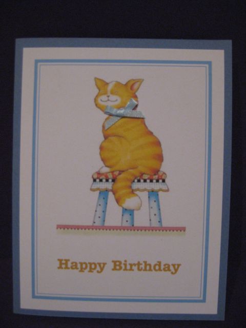 Cat on stool/b'day