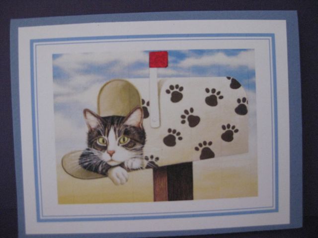 Cat in mailbox