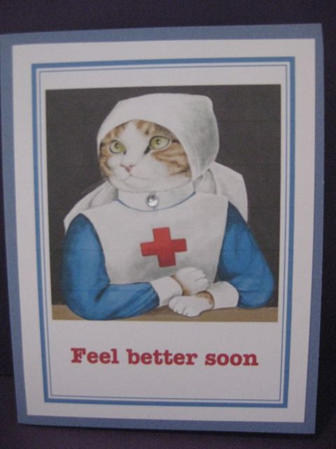 Cat/feel better