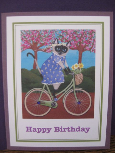 Purple cat/bicycle