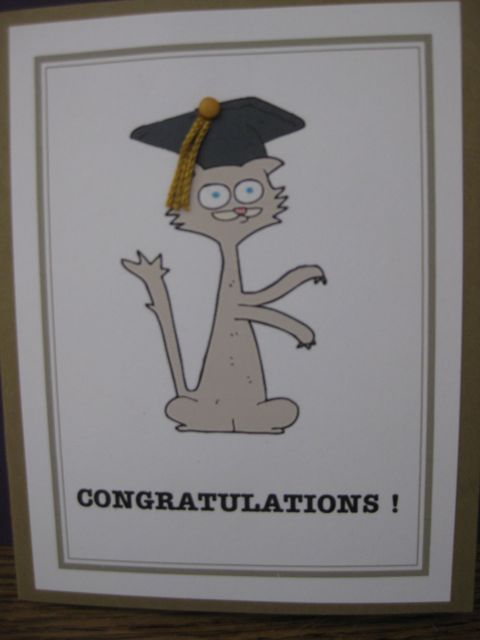 Cat/graduation
