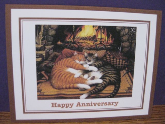 Anniversary/cats/fireplace