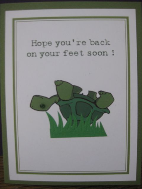 Turtle/Get well