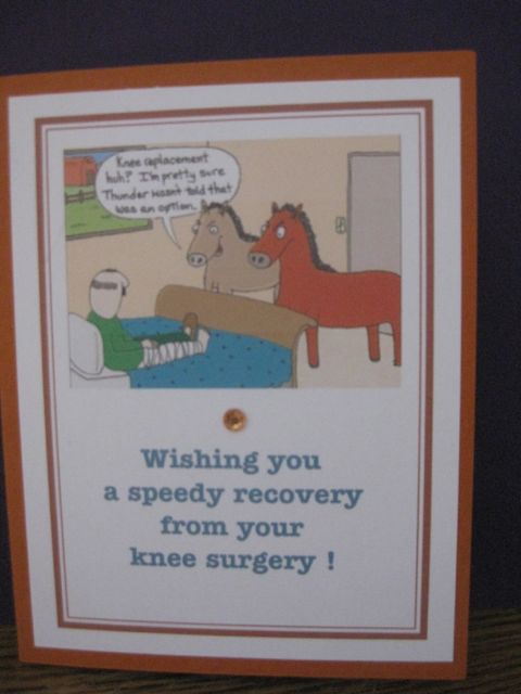 horses/knee replacement