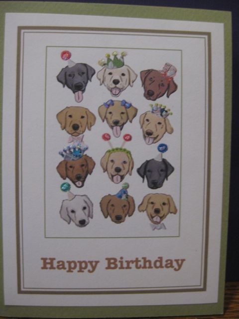 Dogs/birthday