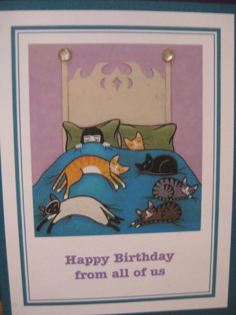 cats/bed/b'day from all of us
