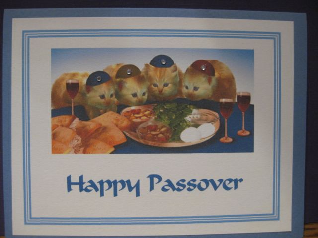 Cats/Passover