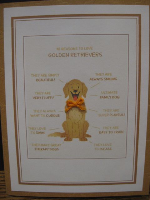 Reasons to love golden retriever