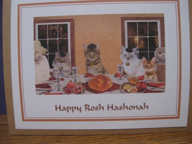 Cats/Rosh Hashanah