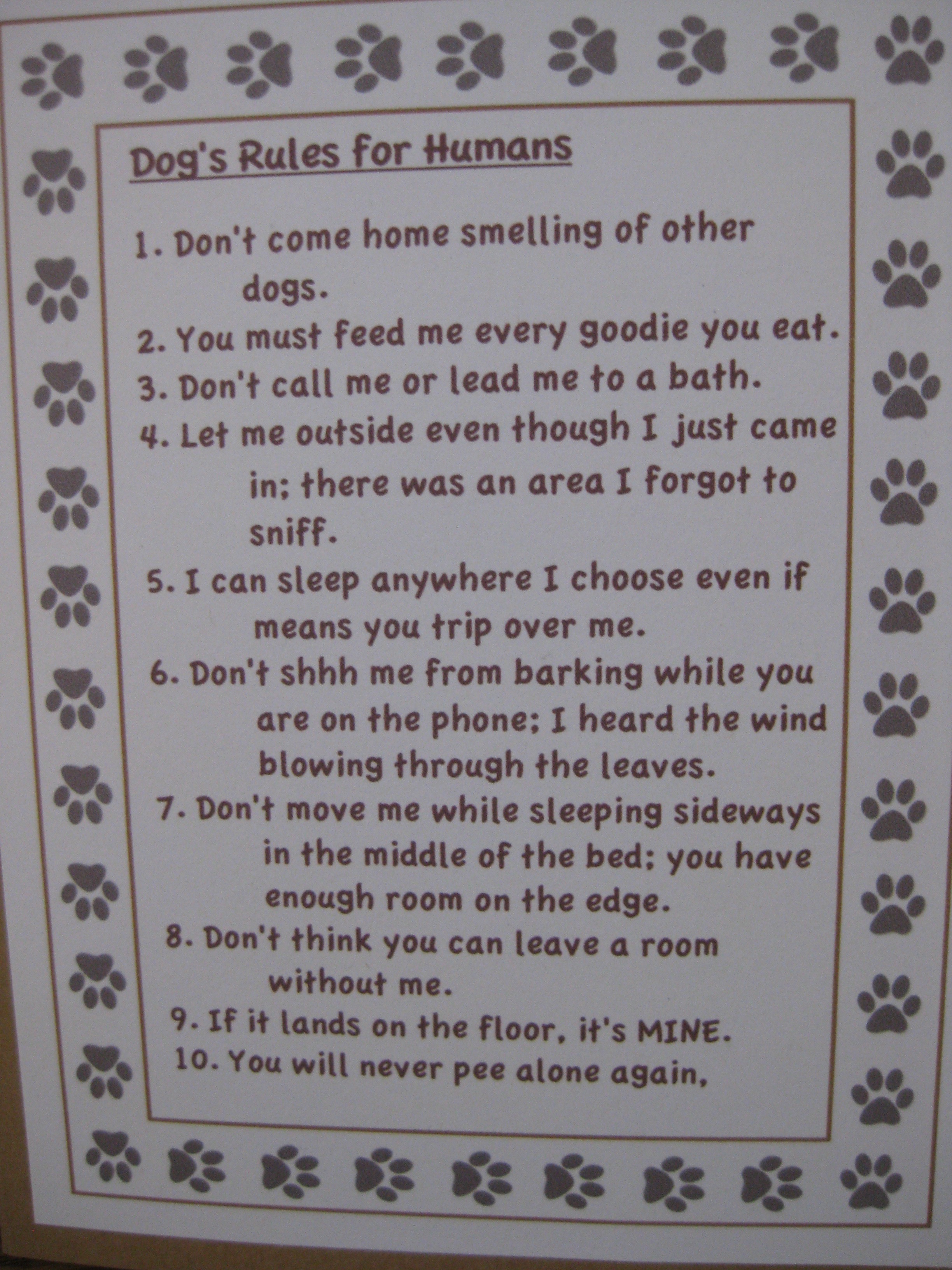 Dog's rules